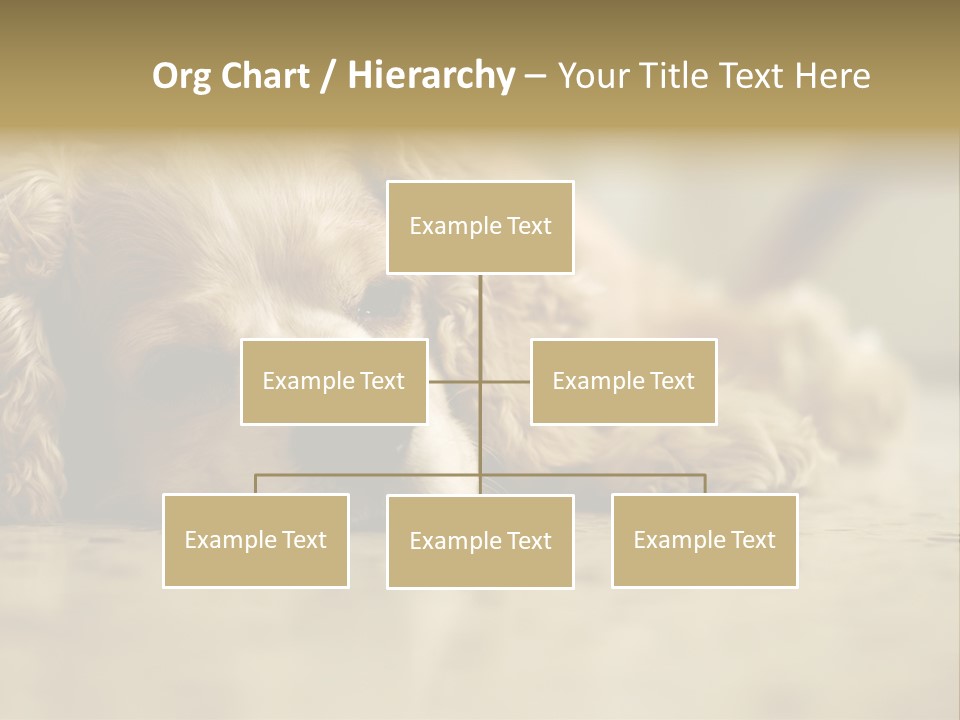 So Sleepy PowerPoint Template