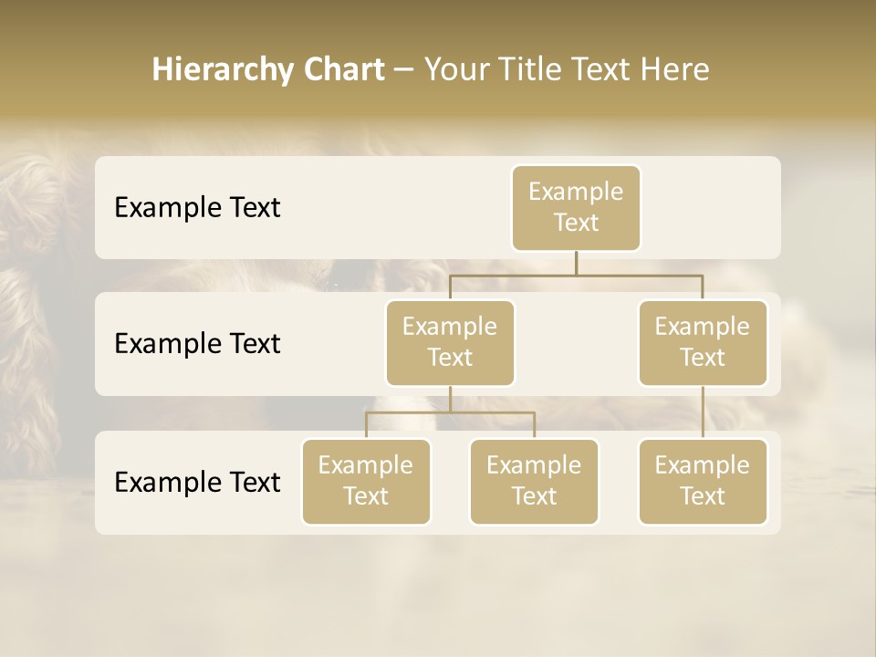 So Sleepy PowerPoint Template