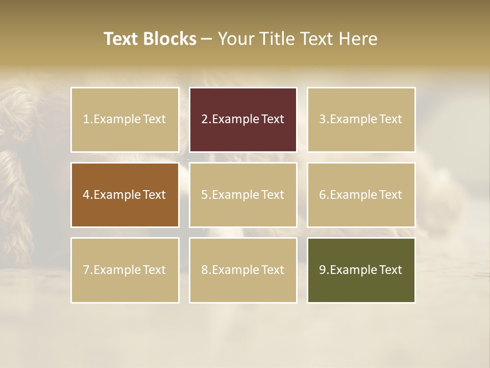 So Sleepy PowerPoint Template