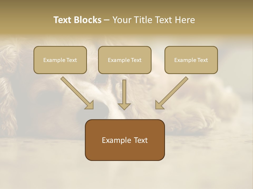 So Sleepy PowerPoint Template