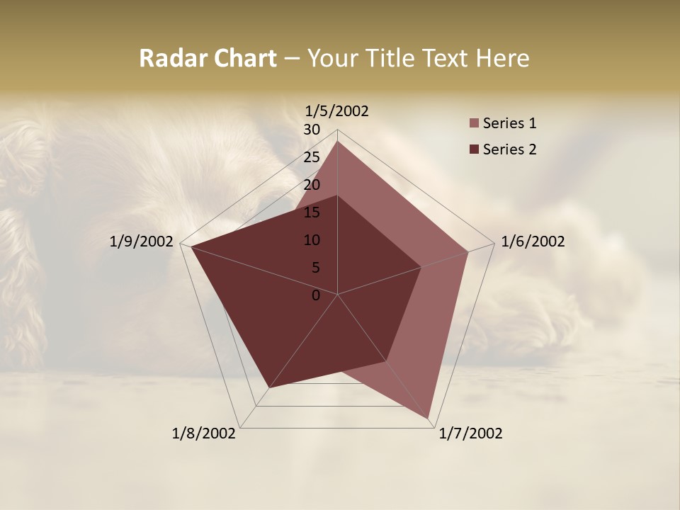 So Sleepy PowerPoint Template