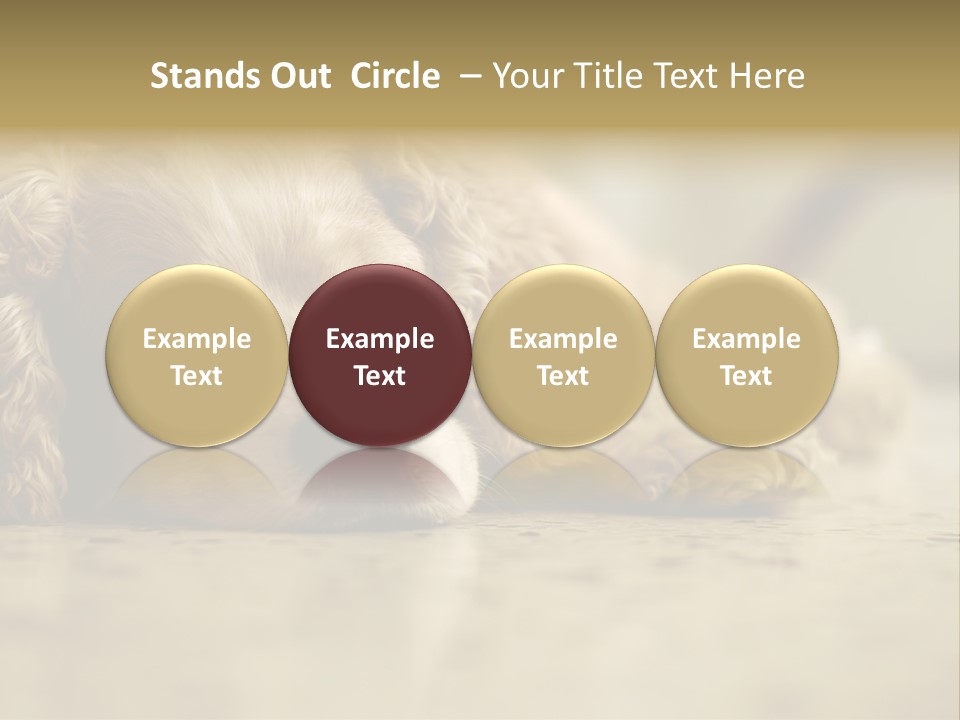 So Sleepy PowerPoint Template