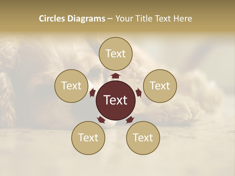 So Sleepy PowerPoint Template