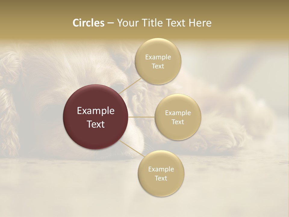 So Sleepy PowerPoint Template