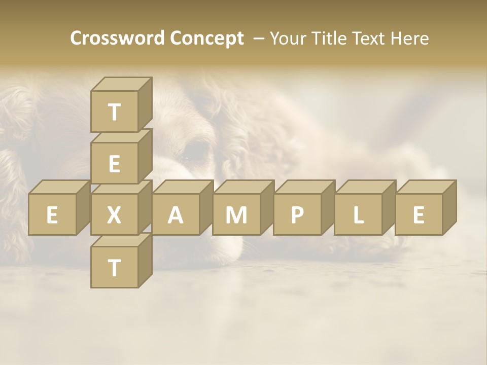 So Sleepy PowerPoint Template