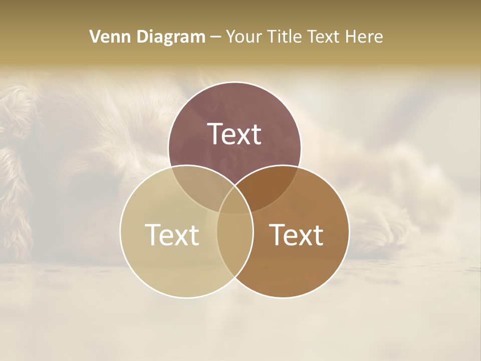 So Sleepy PowerPoint Template