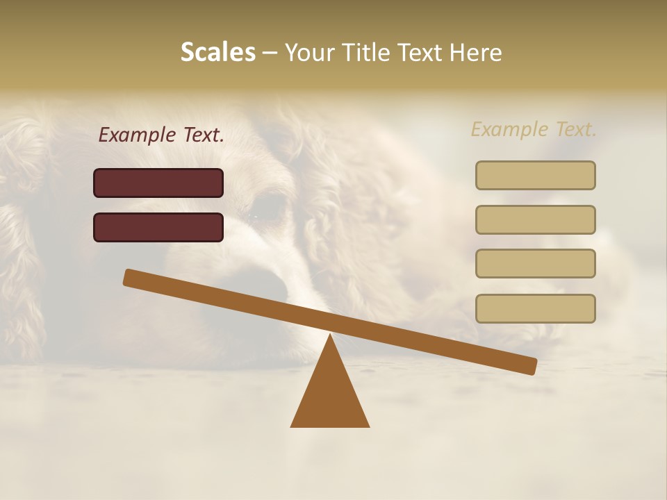 So Sleepy PowerPoint Template