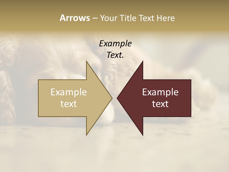 So Sleepy PowerPoint Template