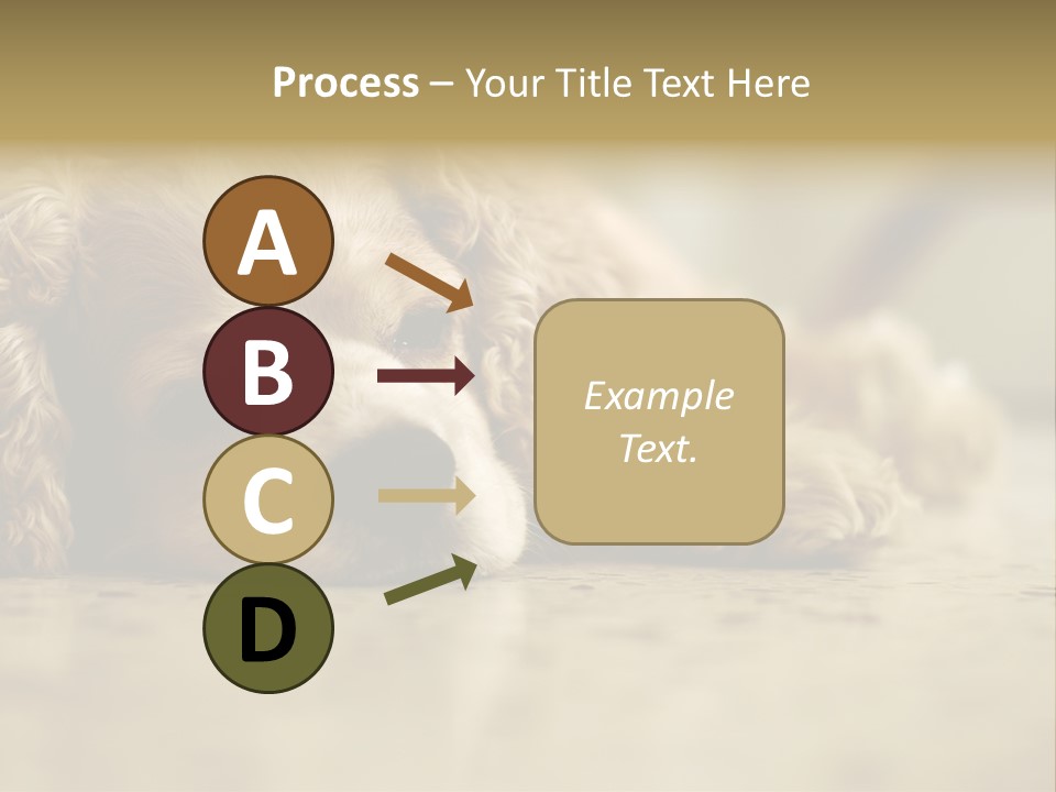 So Sleepy PowerPoint Template