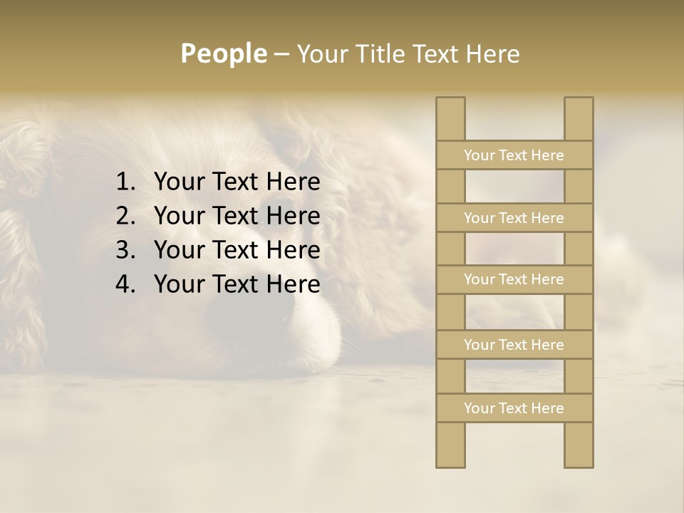 So Sleepy PowerPoint Template