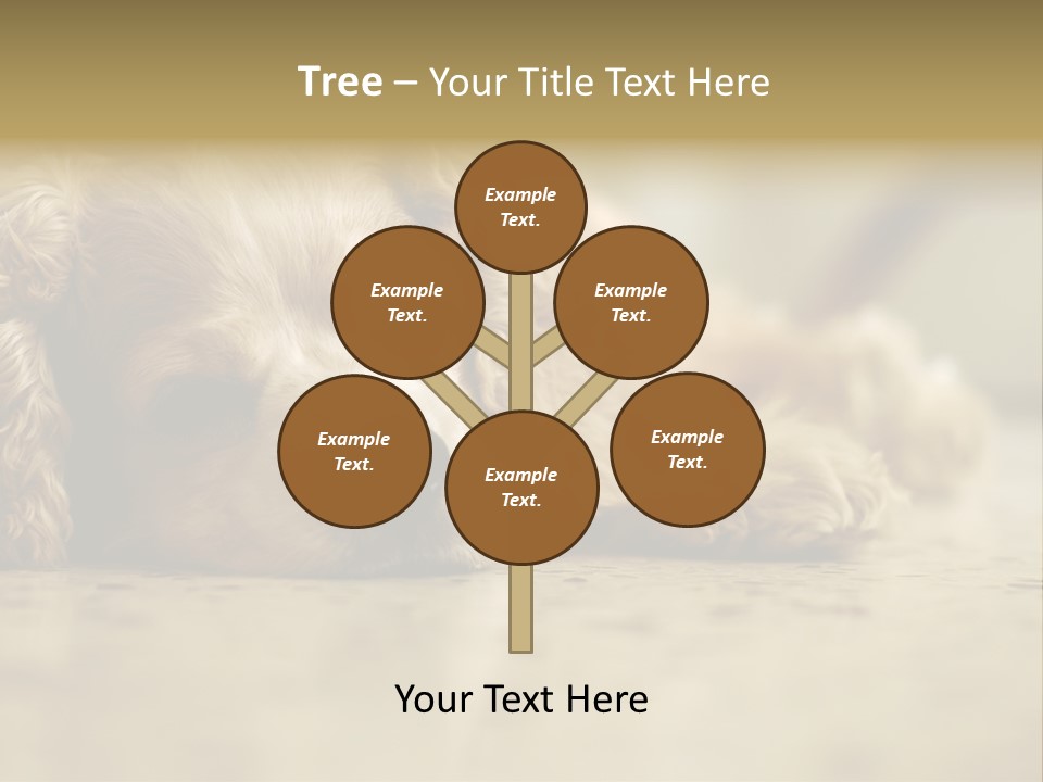 So Sleepy PowerPoint Template