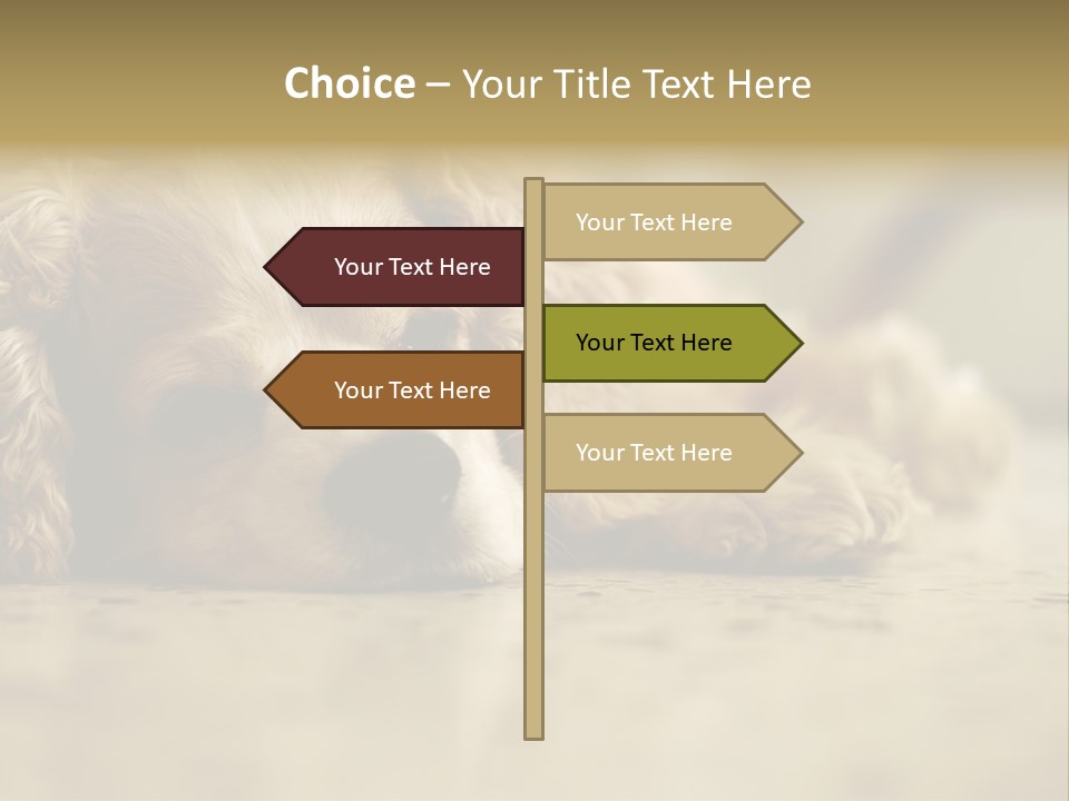 So Sleepy PowerPoint Template