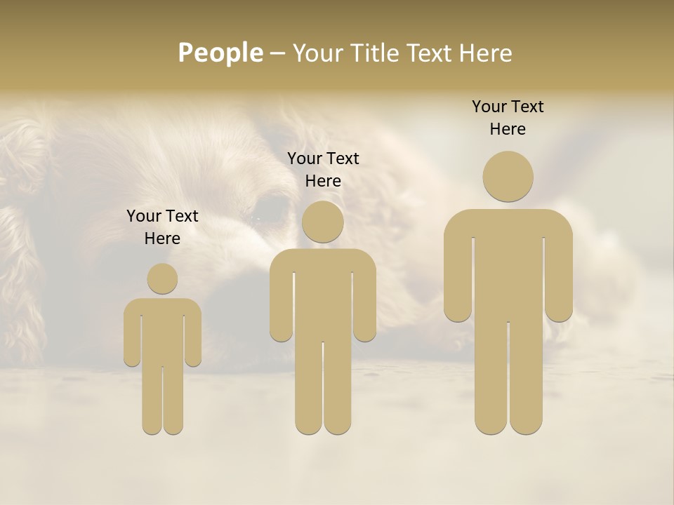 So Sleepy PowerPoint Template