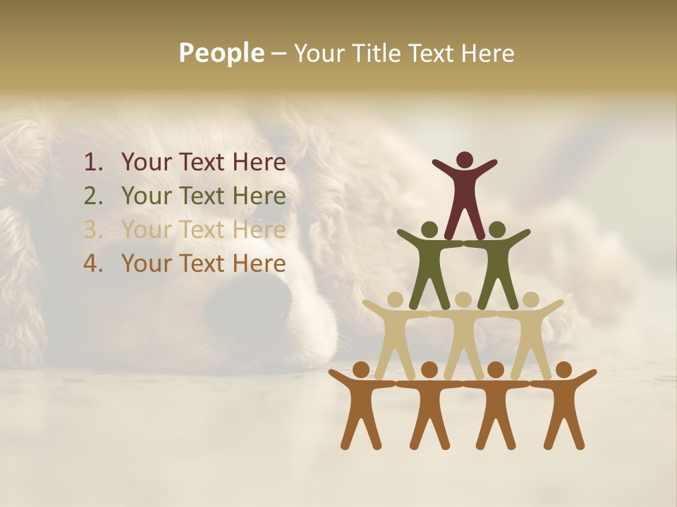 So Sleepy PowerPoint Template