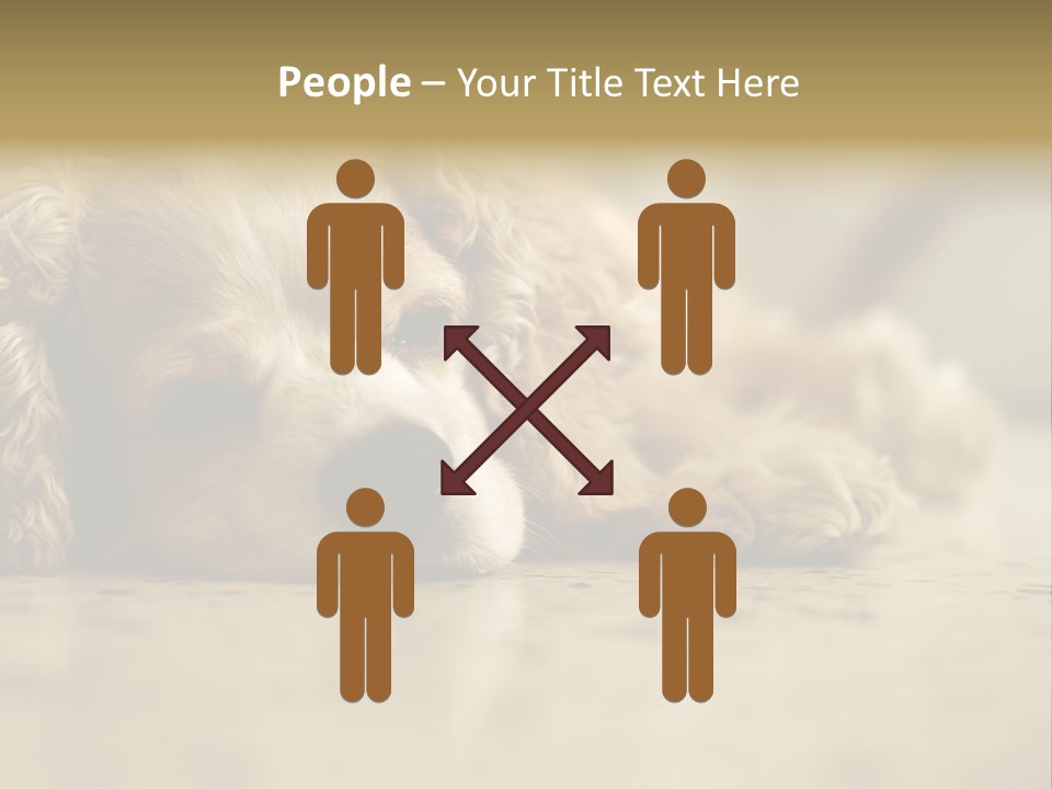 So Sleepy PowerPoint Template