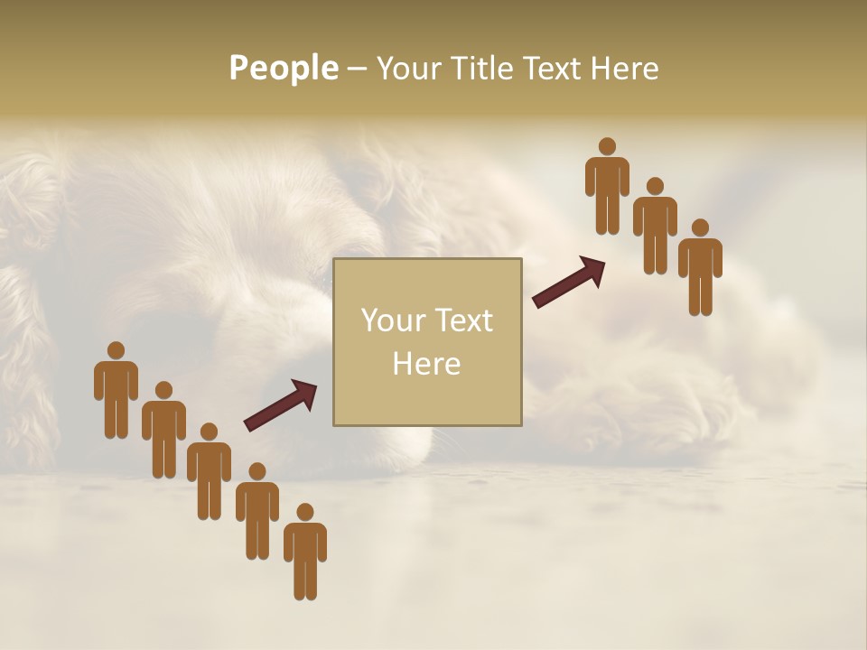 So Sleepy PowerPoint Template