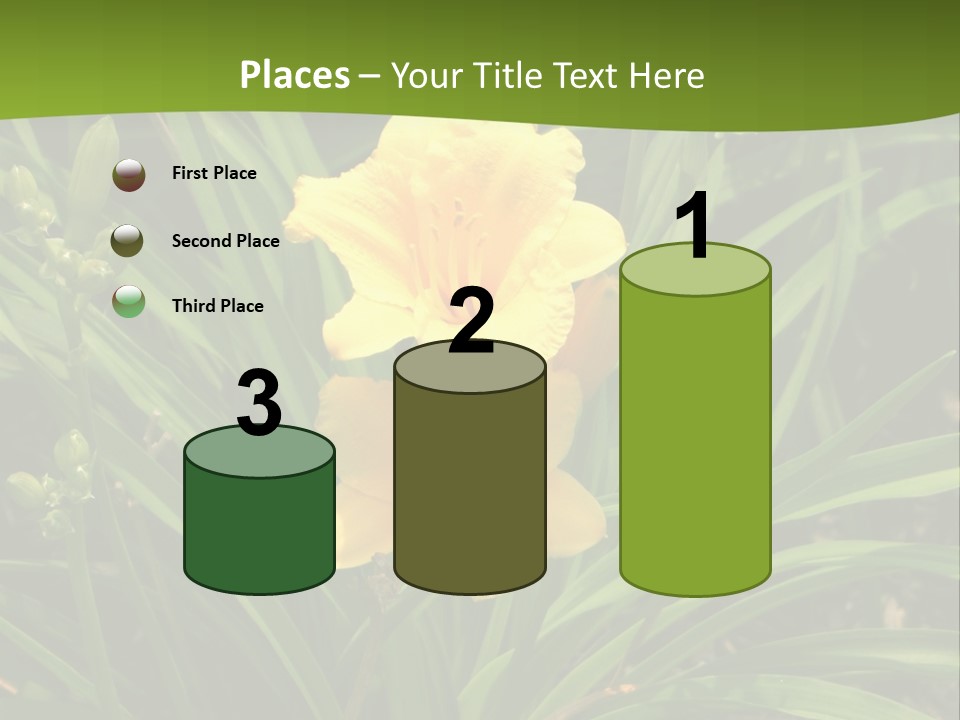 Daylily PowerPoint Template