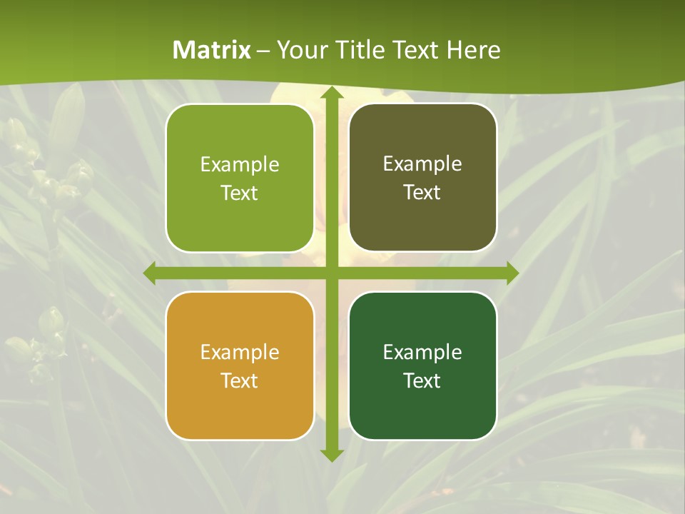 Daylily PowerPoint Template