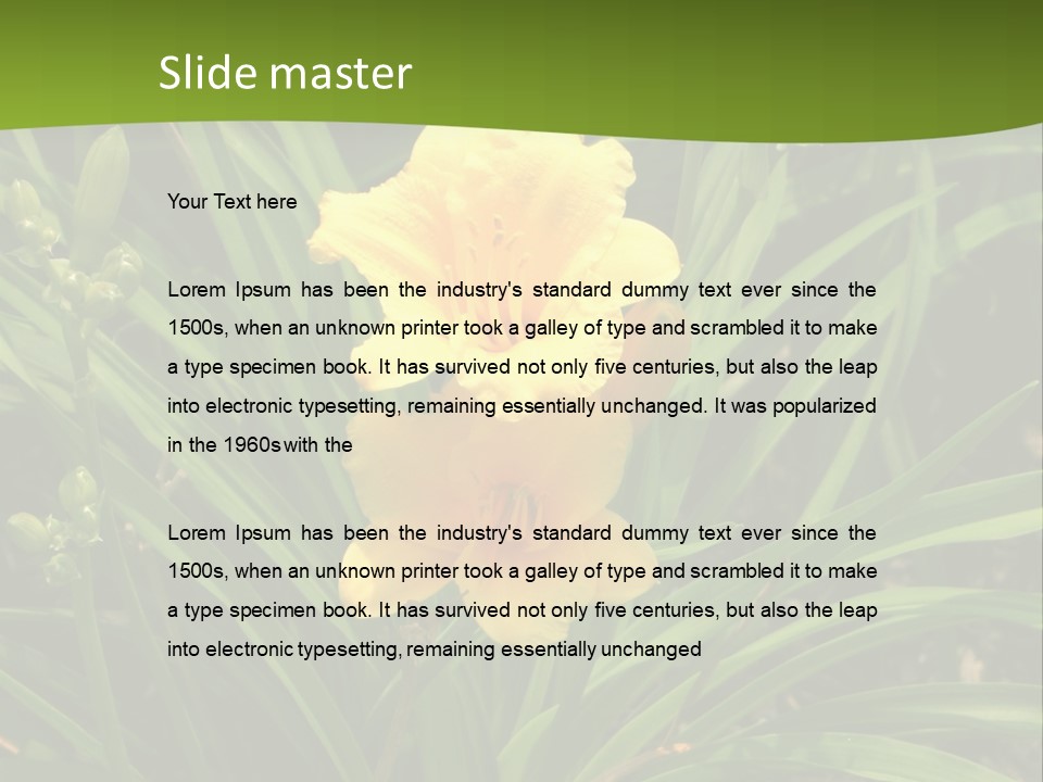 Daylily PowerPoint Template