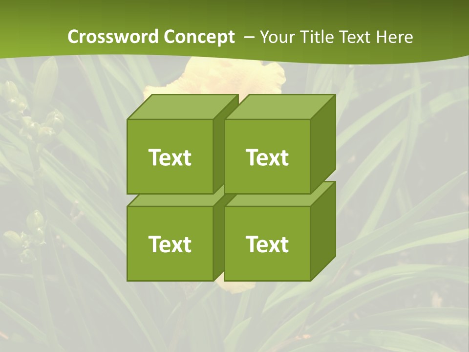 Daylily PowerPoint Template