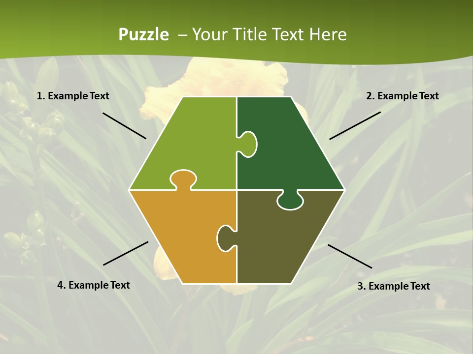 Daylily PowerPoint Template