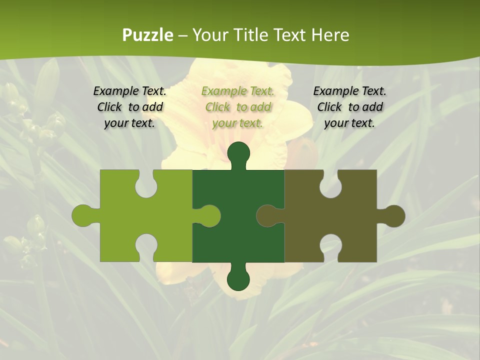 Daylily PowerPoint Template