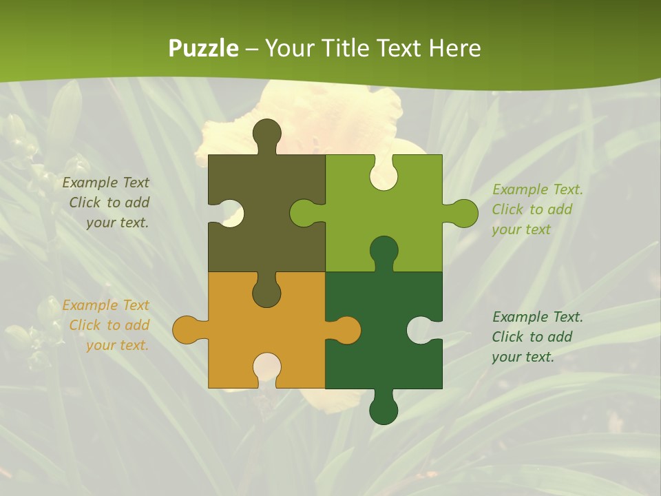 Daylily PowerPoint Template