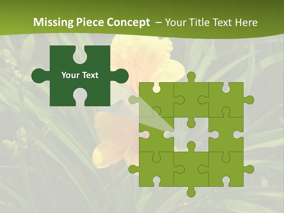 Daylily PowerPoint Template