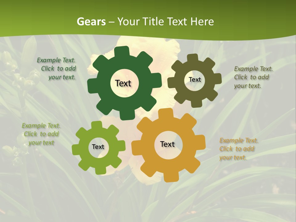 Daylily PowerPoint Template