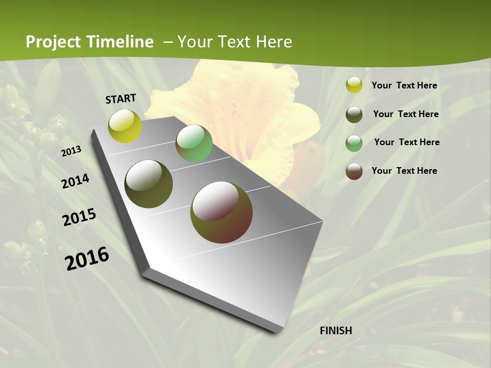 Daylily PowerPoint Template