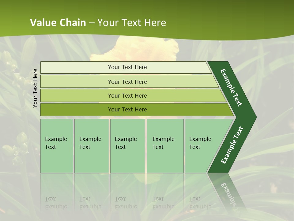 Daylily PowerPoint Template