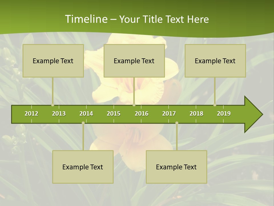 Daylily PowerPoint Template