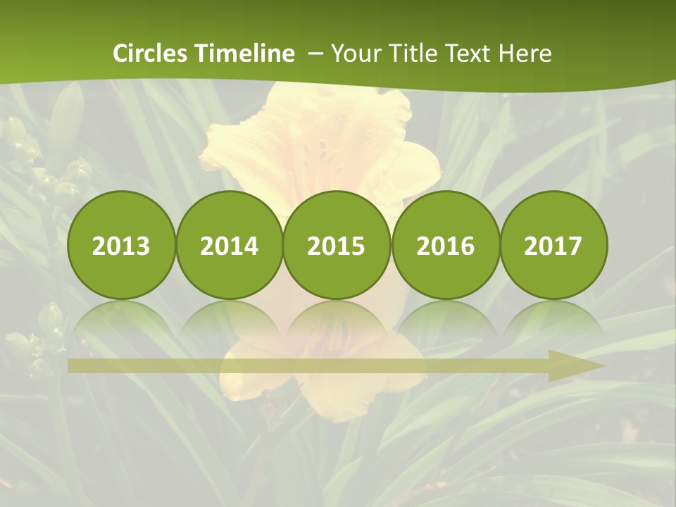 Daylily PowerPoint Template