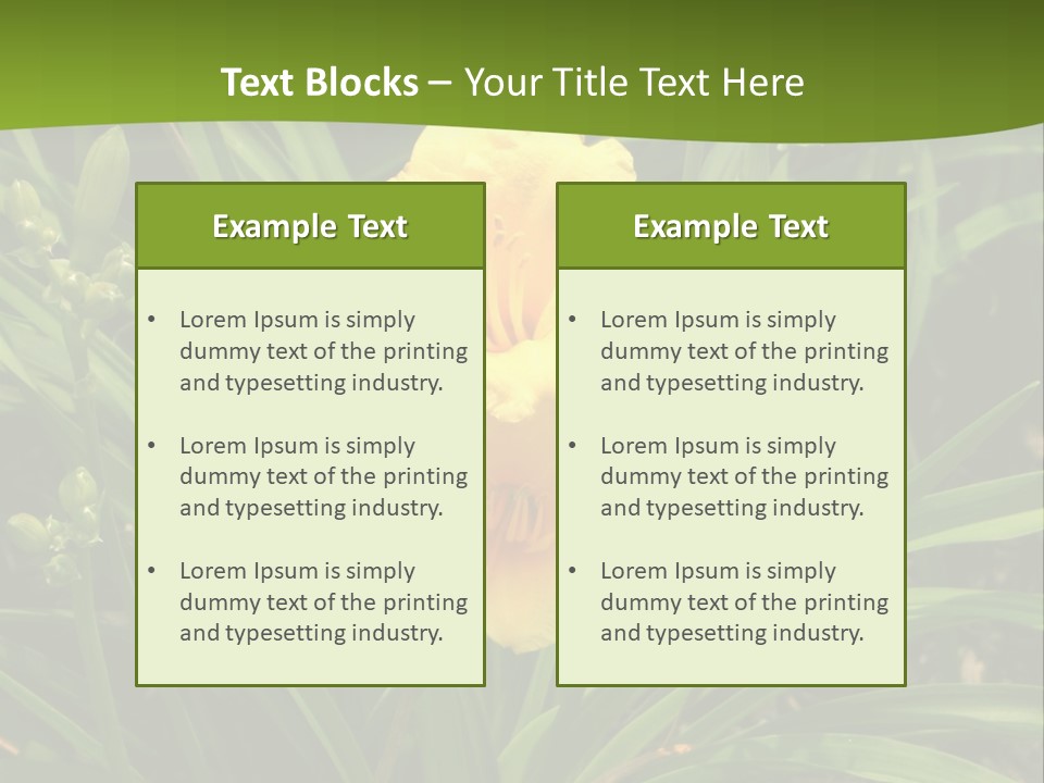 Daylily PowerPoint Template