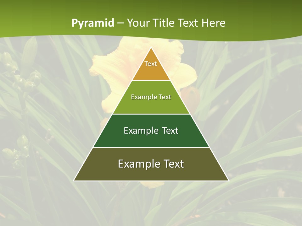 Daylily PowerPoint Template