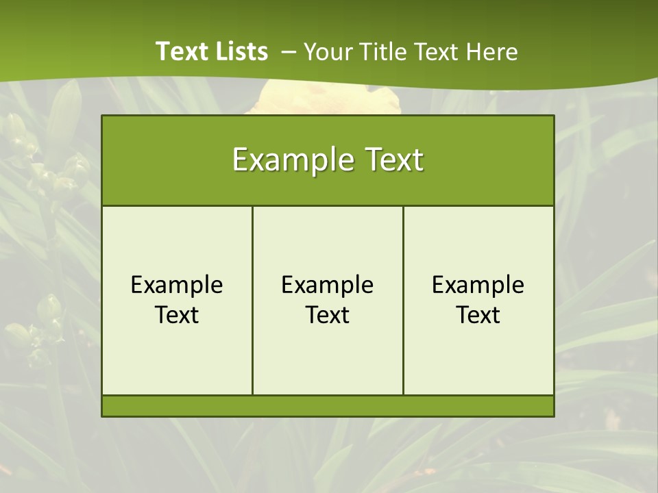 Daylily PowerPoint Template