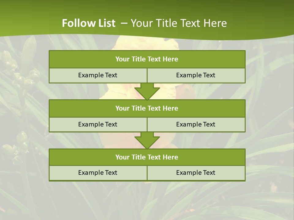 Daylily PowerPoint Template