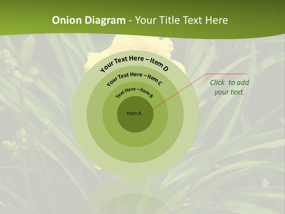 Daylily PowerPoint Template