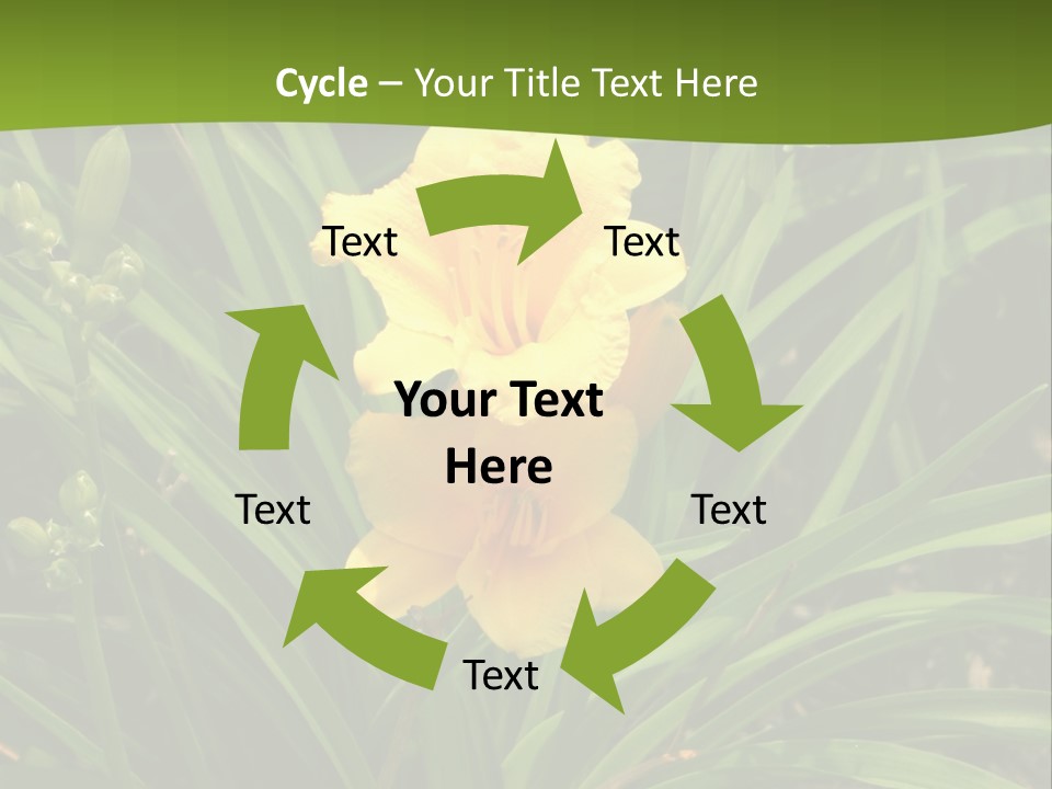 Daylily PowerPoint Template