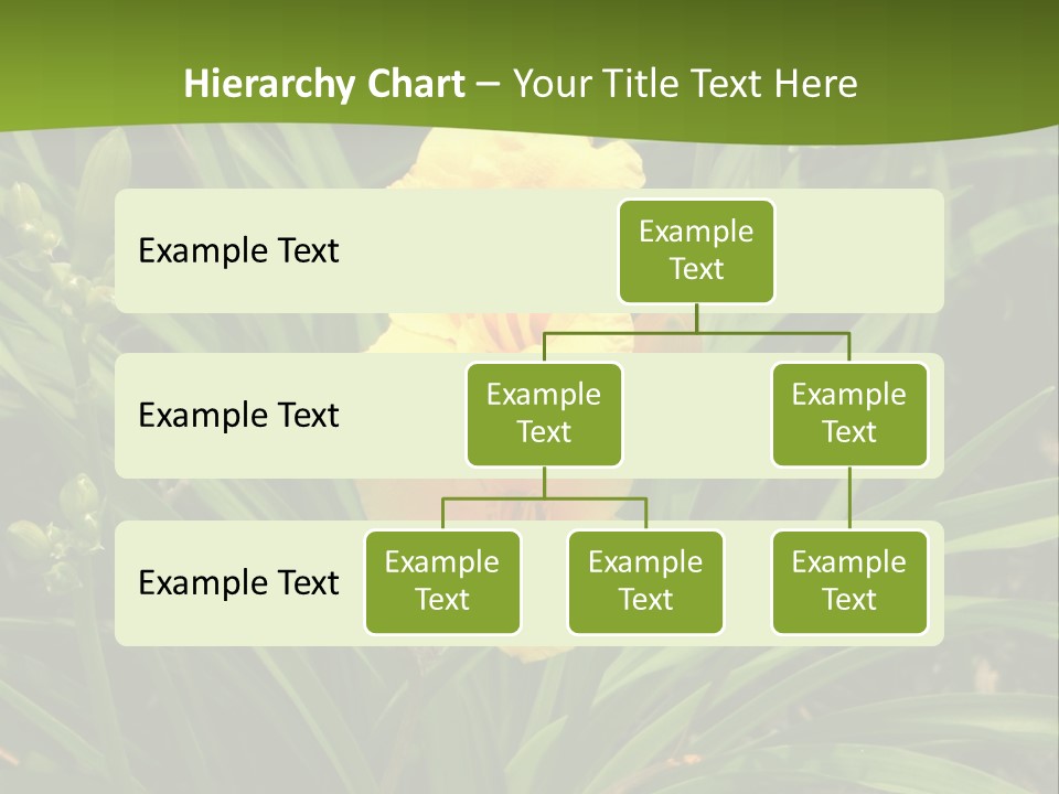 Daylily PowerPoint Template