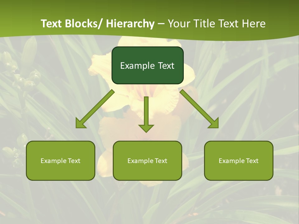 Daylily PowerPoint Template