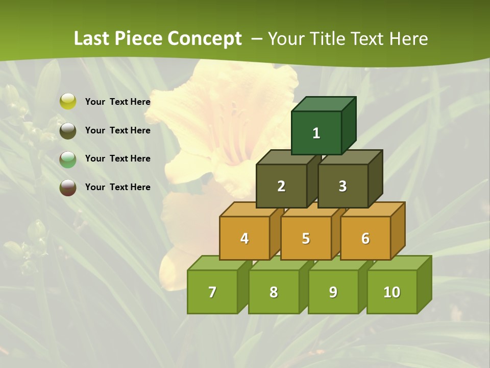 Daylily PowerPoint Template