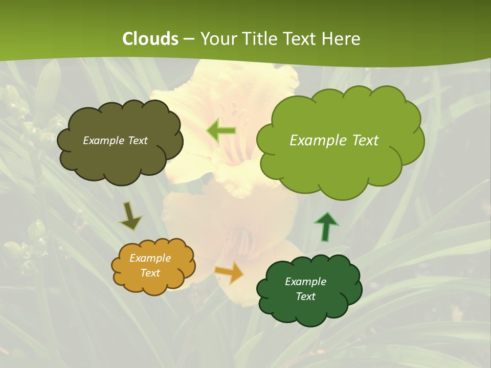 Daylily PowerPoint Template