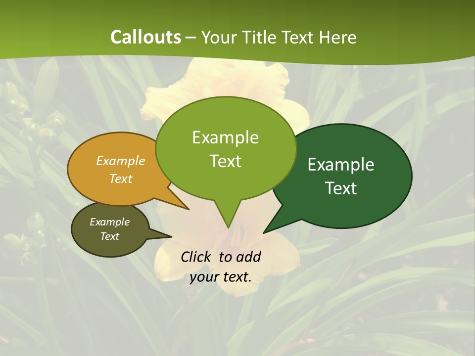 Daylily PowerPoint Template