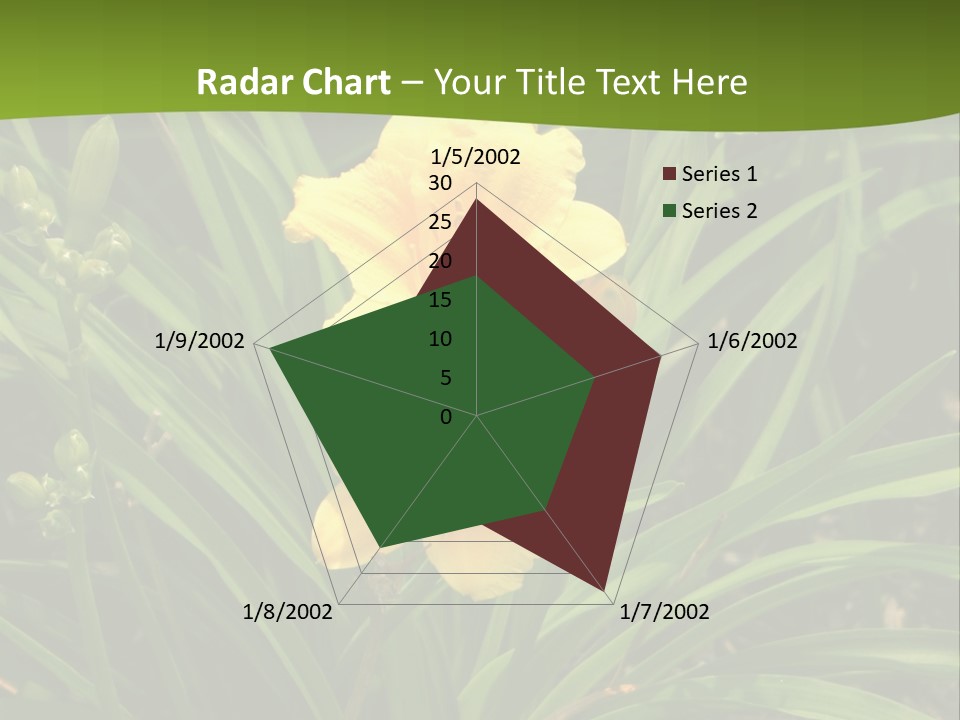 Daylily PowerPoint Template