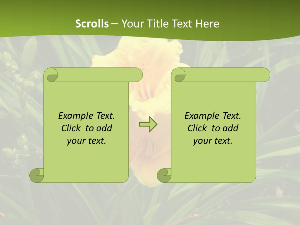 Daylily PowerPoint Template