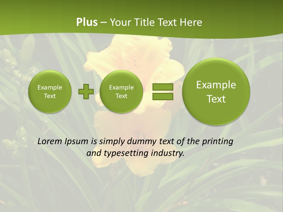 Daylily PowerPoint Template