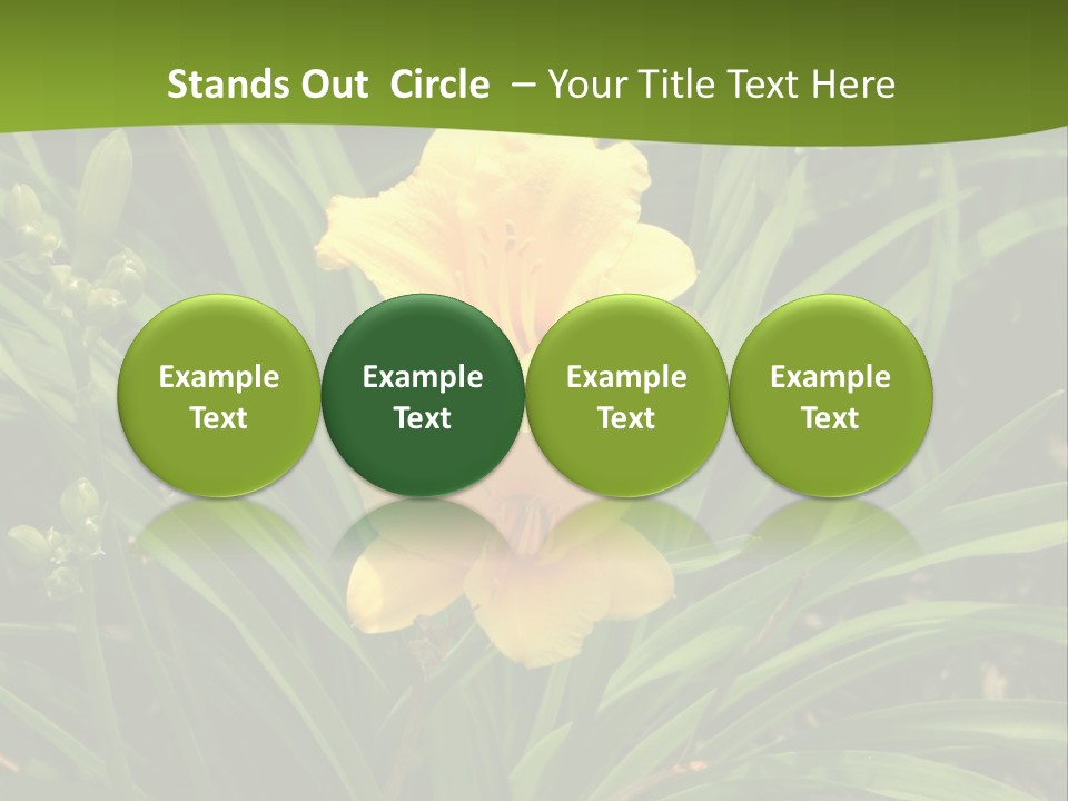 Daylily PowerPoint Template