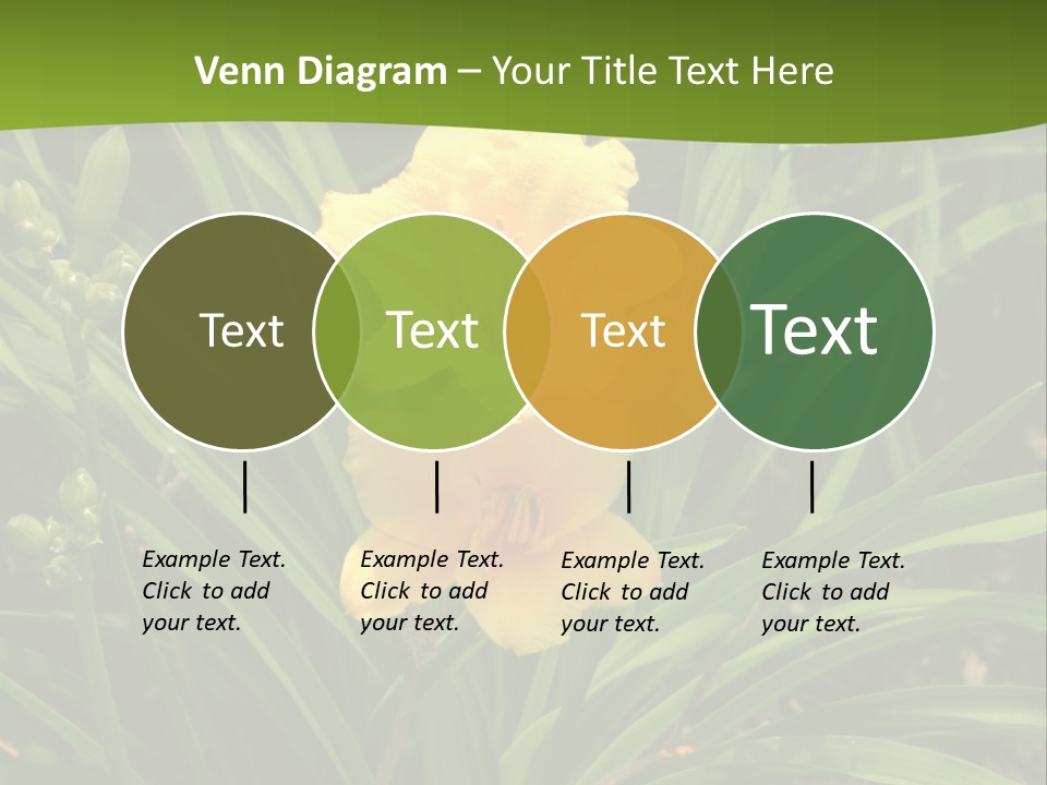 Daylily PowerPoint Template