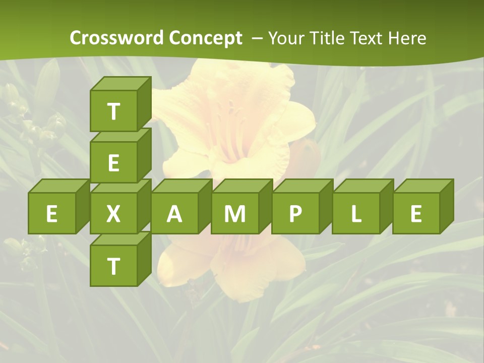 Daylily PowerPoint Template